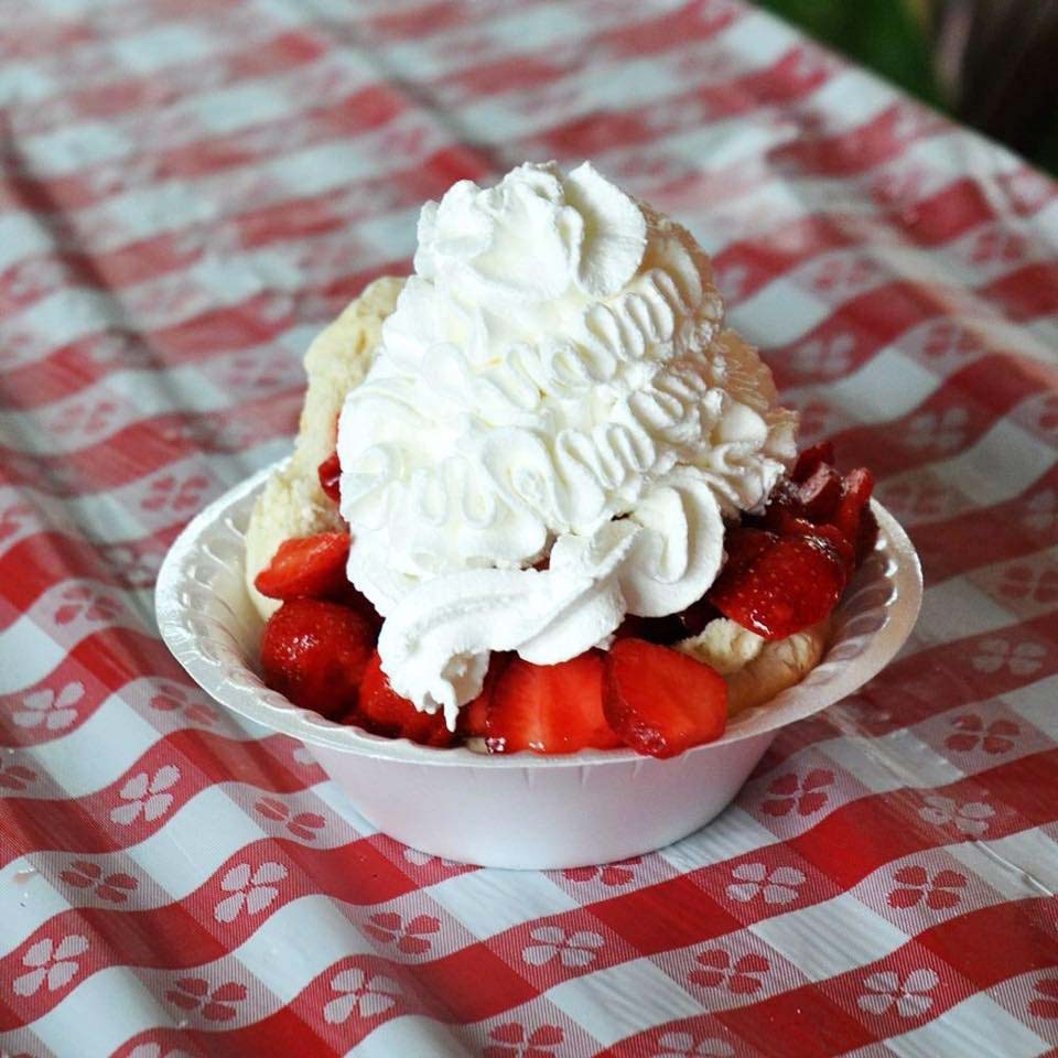 annual strawberry festival